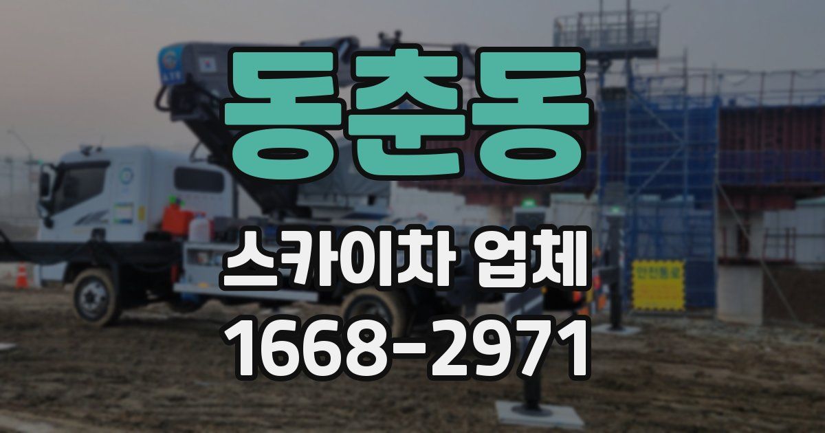동춘동 스카이차 업체