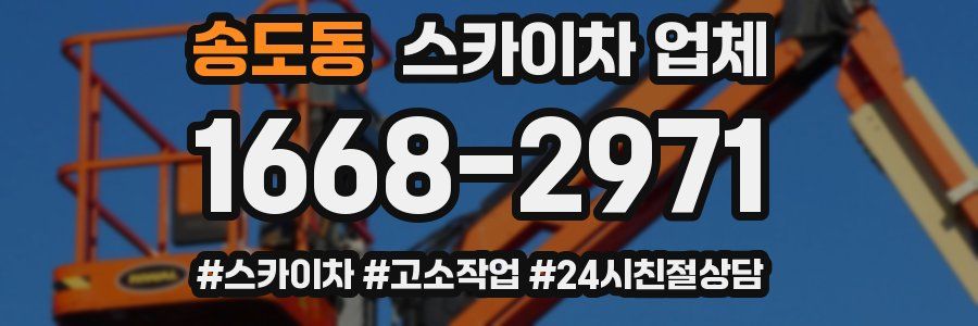 송도동 스카이차 업체