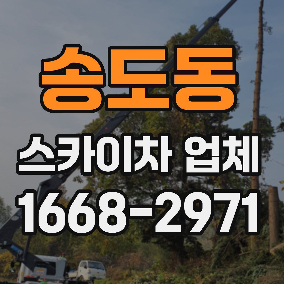 송도동 스카이차 업체
