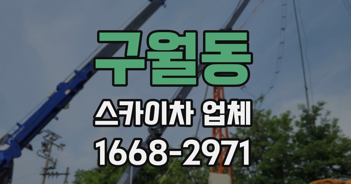 구월동 스카이차 업체