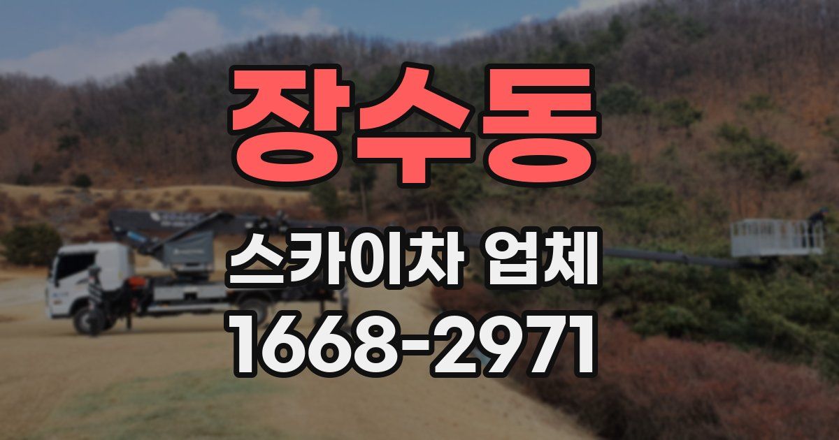 장수동 스카이차 업체