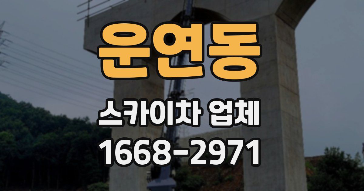 운연동 스카이차 업체