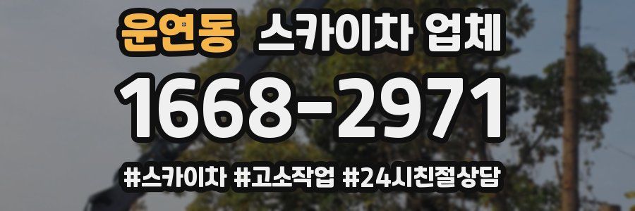 운연동 스카이차 업체
