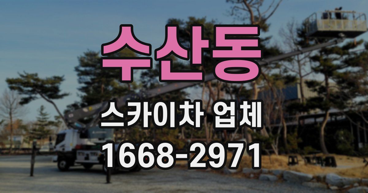 수산동 스카이차 업체
