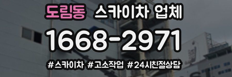 도림동 스카이차 업체