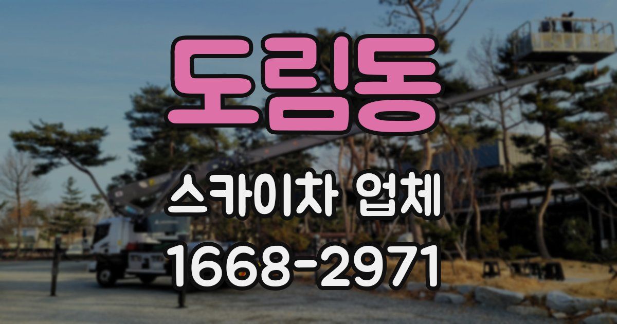 도림동 스카이차 업체