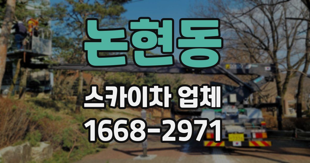 논현동 스카이차 업체