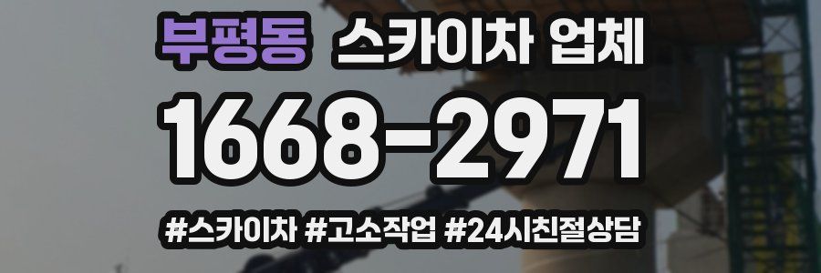 부평동 스카이차 업체