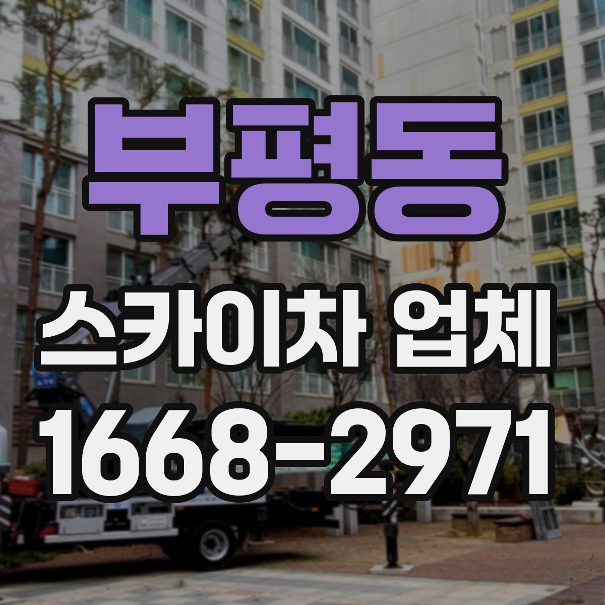 부평동 스카이차 업체
