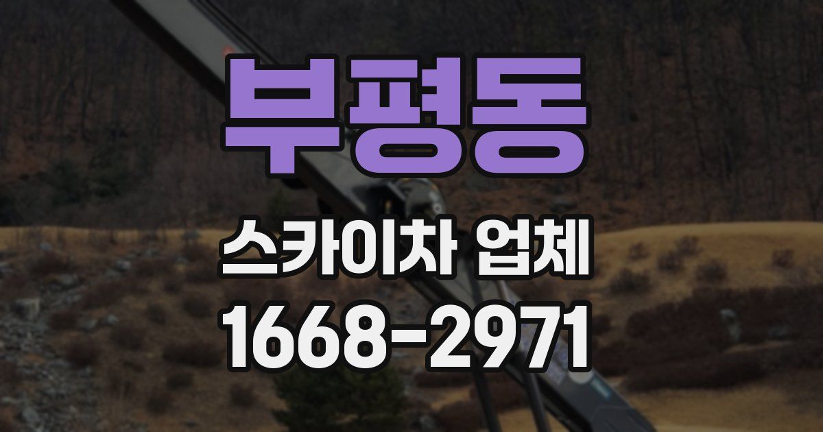 부평동 스카이차 업체