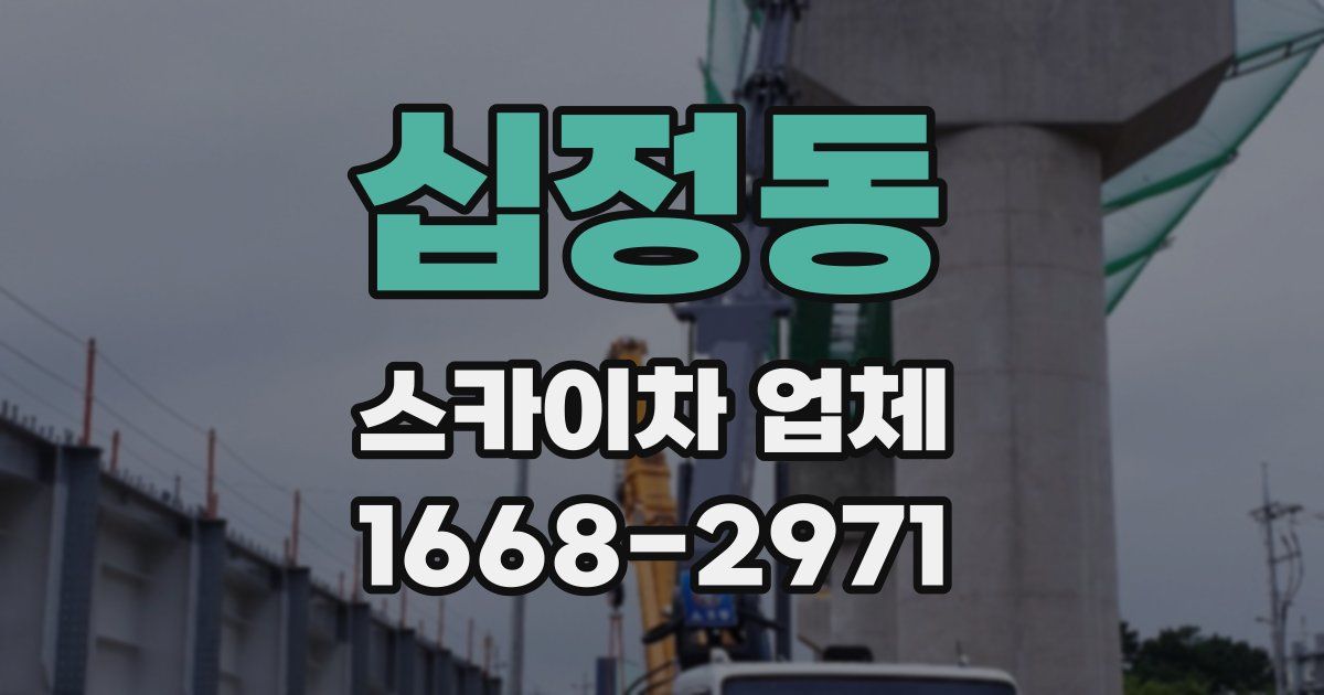 십정동 스카이차 업체