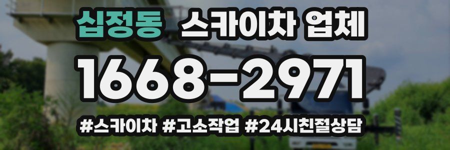 십정동 스카이차 업체