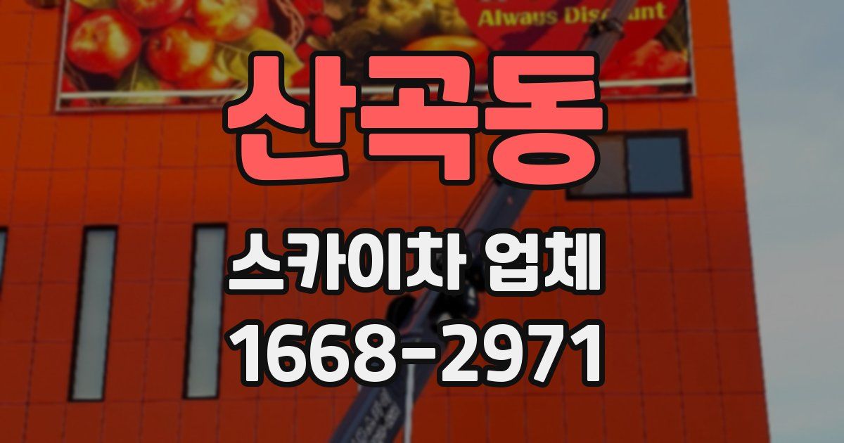 산곡동 스카이차 업체