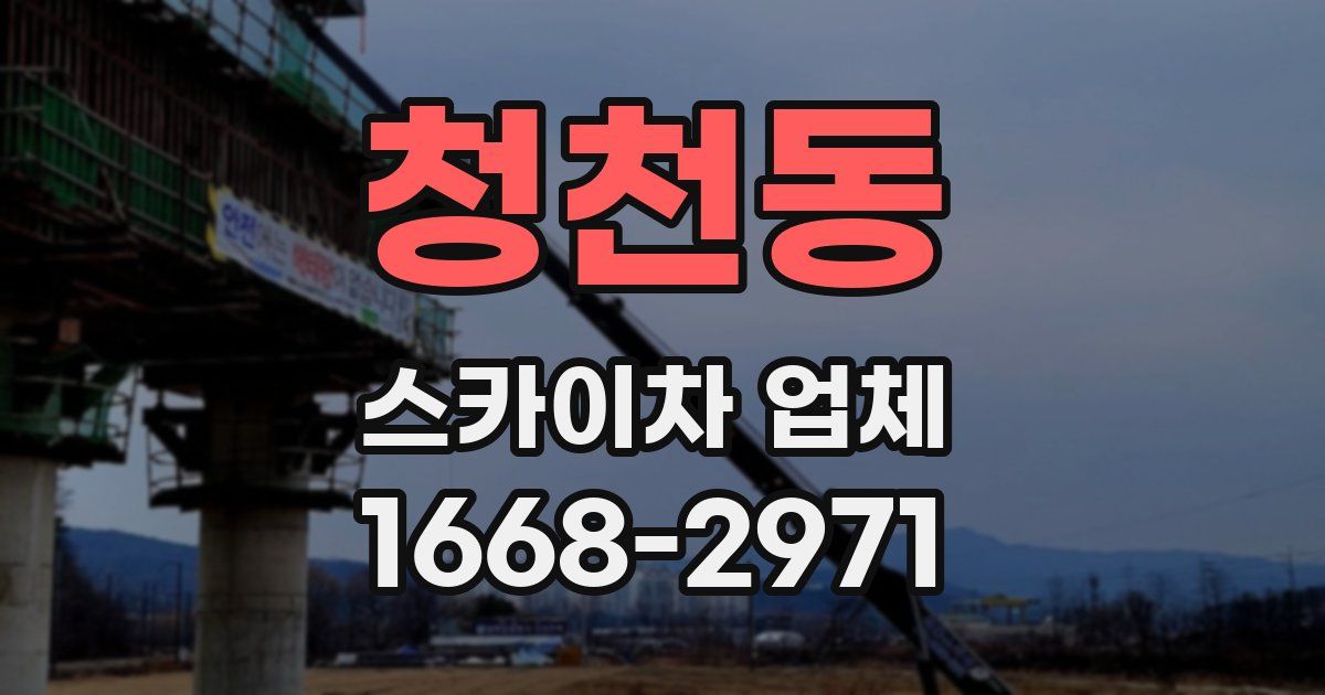 청천동 스카이차 업체