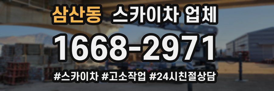 삼산동 스카이차 업체