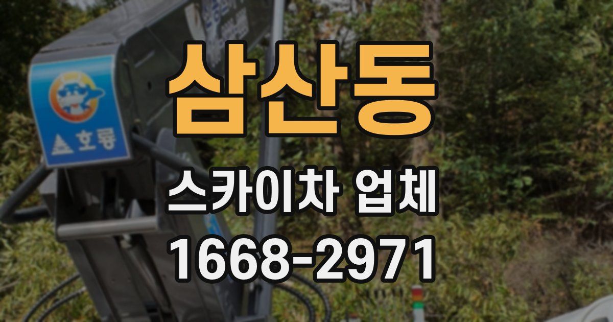 삼산동 스카이차 업체