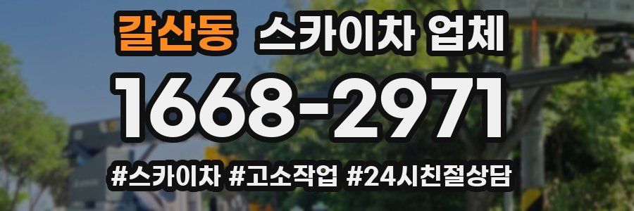 갈산동 스카이차 업체