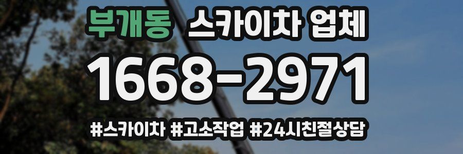 부개동 스카이차 업체