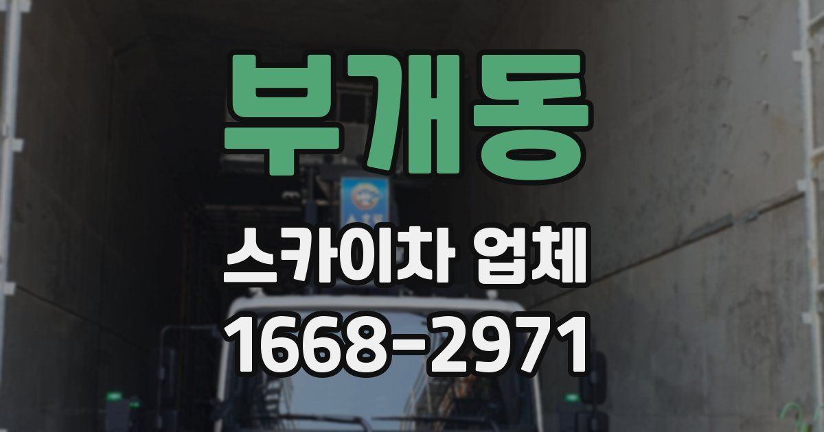 부개동 스카이차 업체