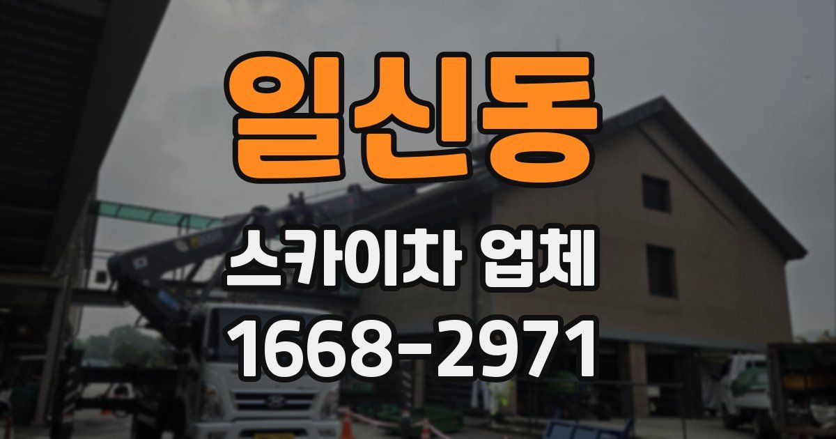 일신동 스카이차 업체