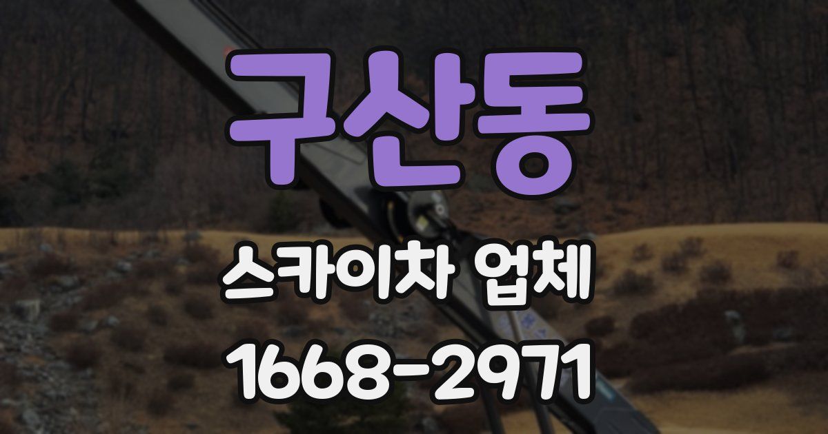구산동 스카이차 업체