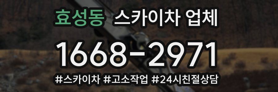 효성동 스카이차 업체