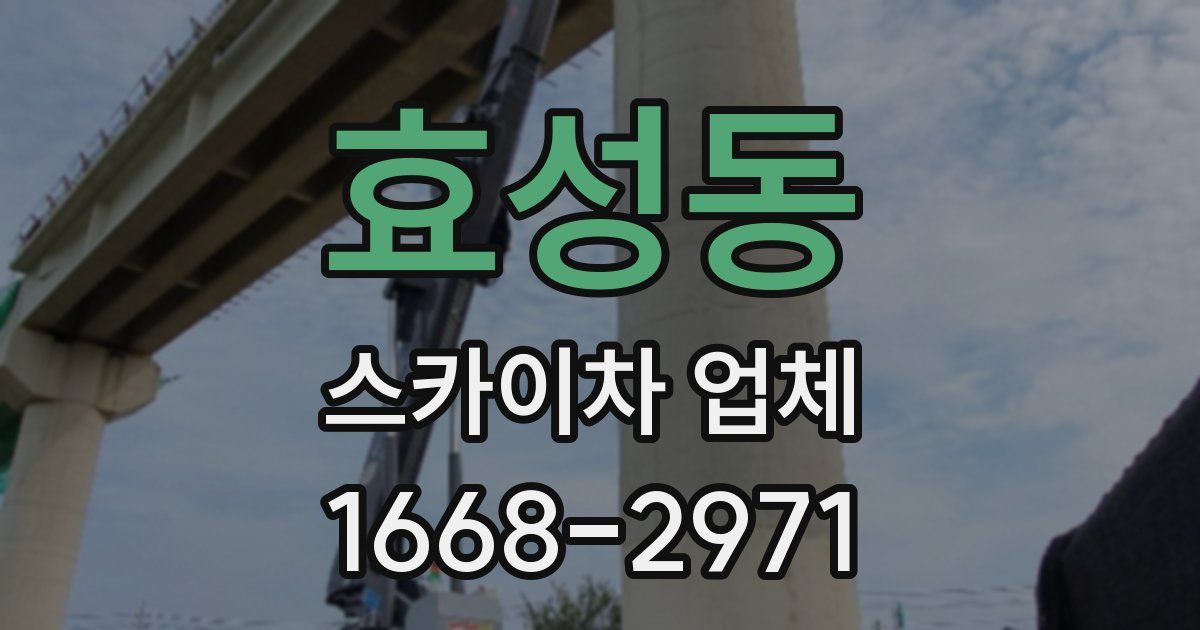 효성동 스카이차 업체