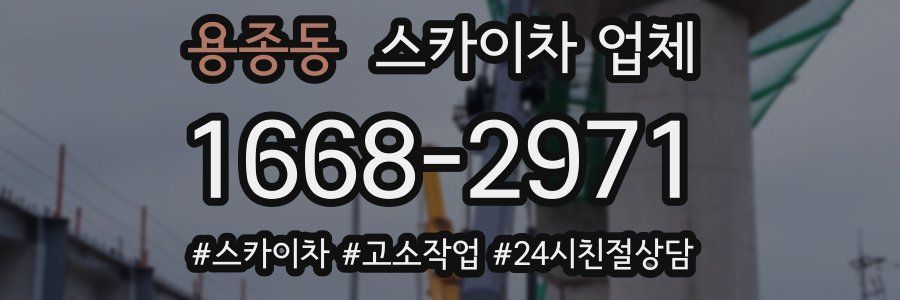 용종동 스카이차 업체