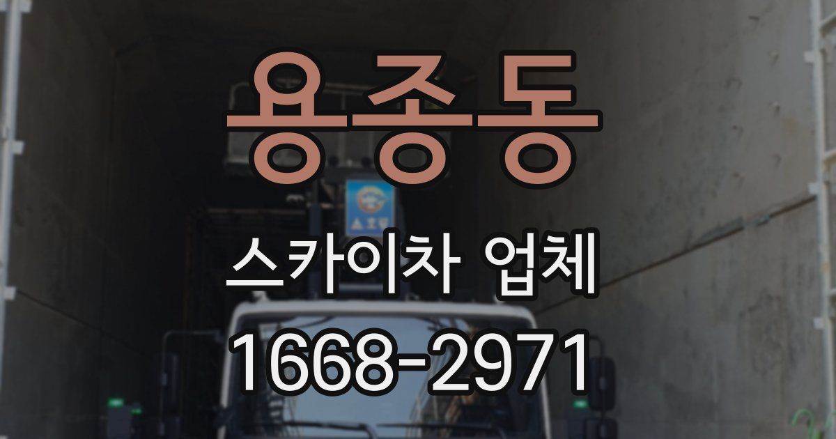 용종동 스카이차 업체