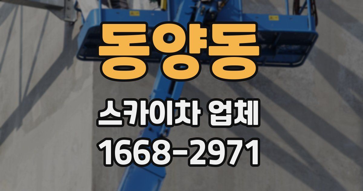 동양동 스카이차 업체