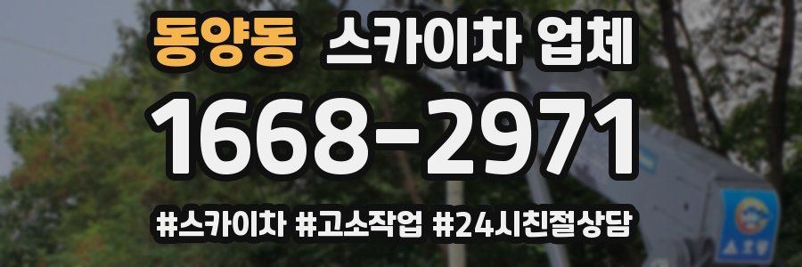 동양동 스카이차 업체