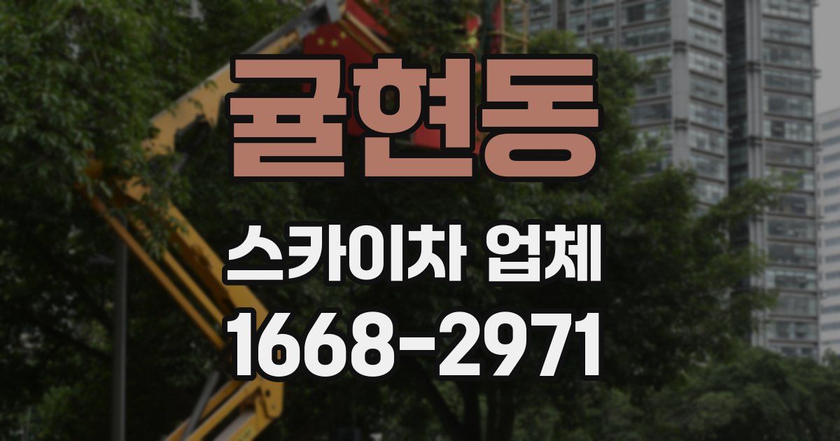 귤현동 스카이차 업체