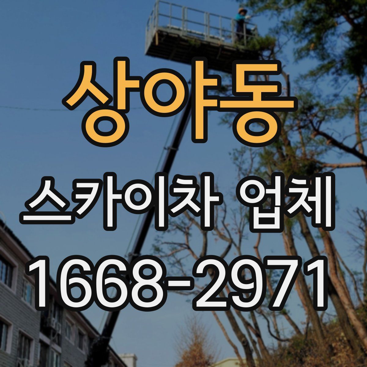 상야동 스카이차 업체