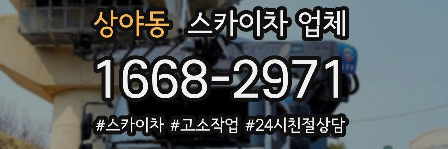 상야동 스카이차 업체