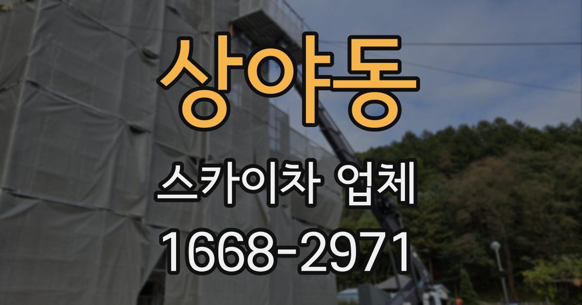 상야동 스카이차 업체