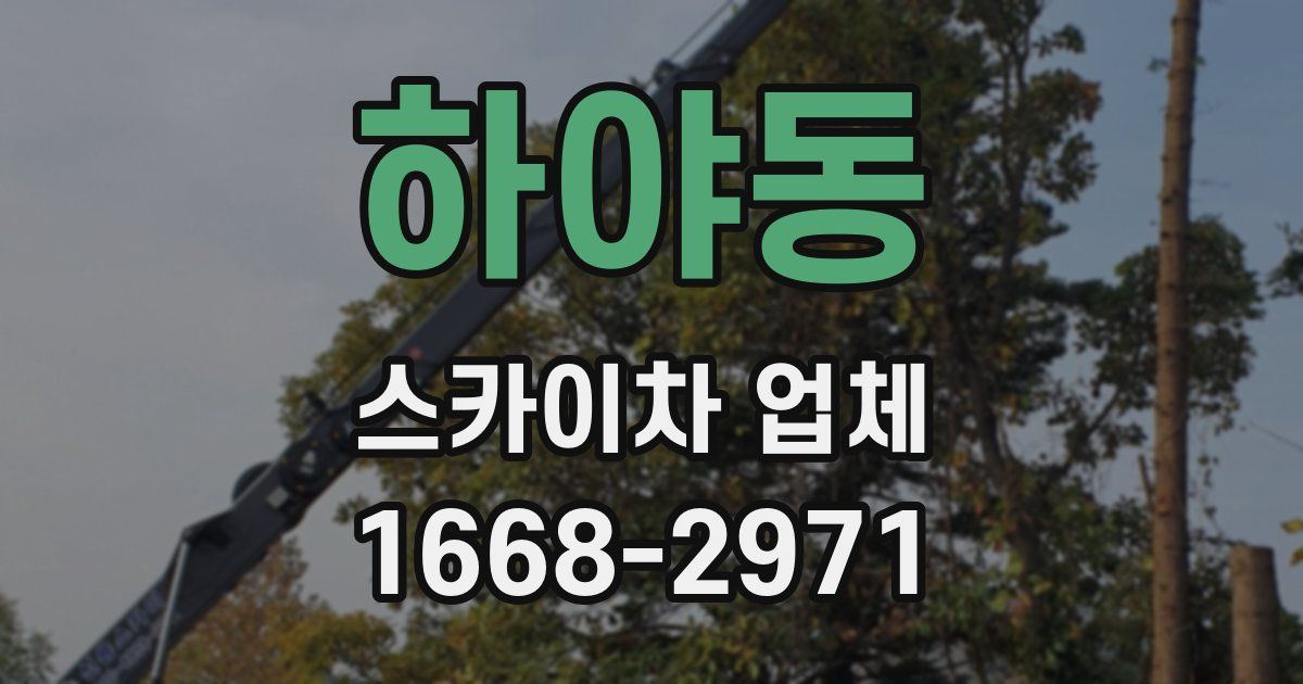하야동 스카이차 업체