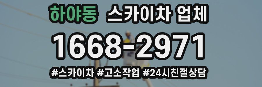 하야동 스카이차 업체