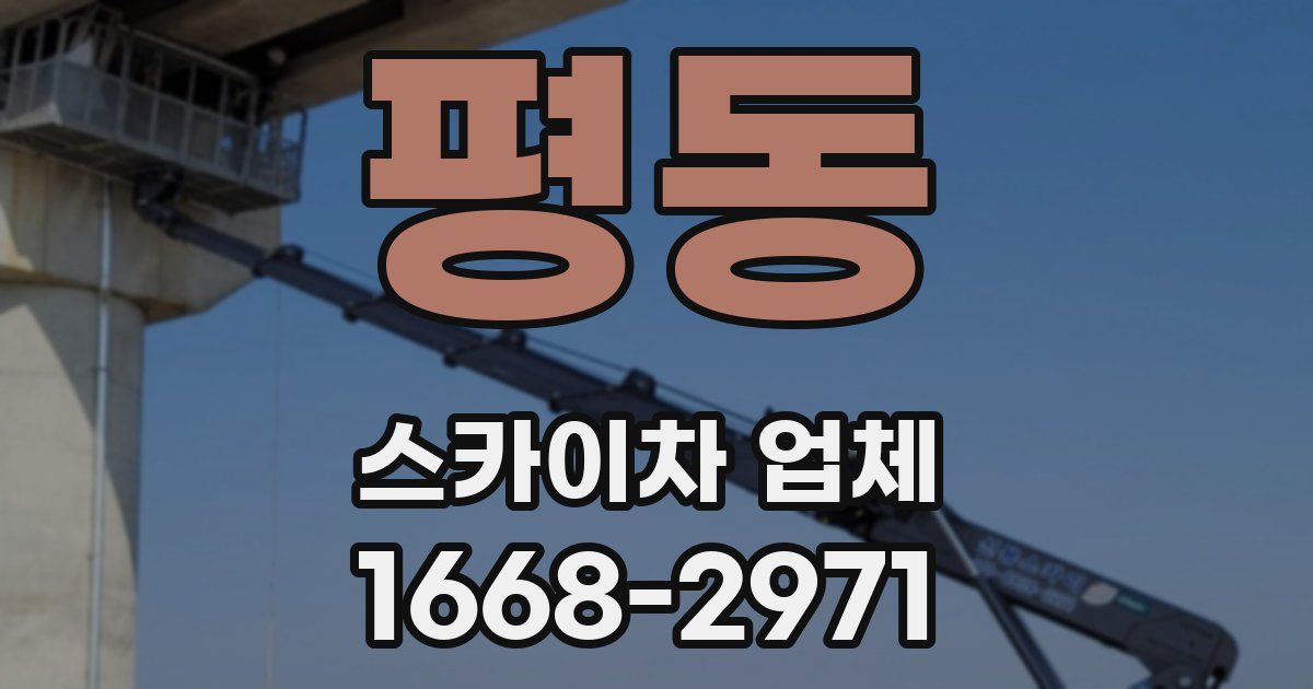 평동 스카이차 업체