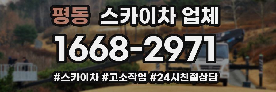 평동 스카이차 업체