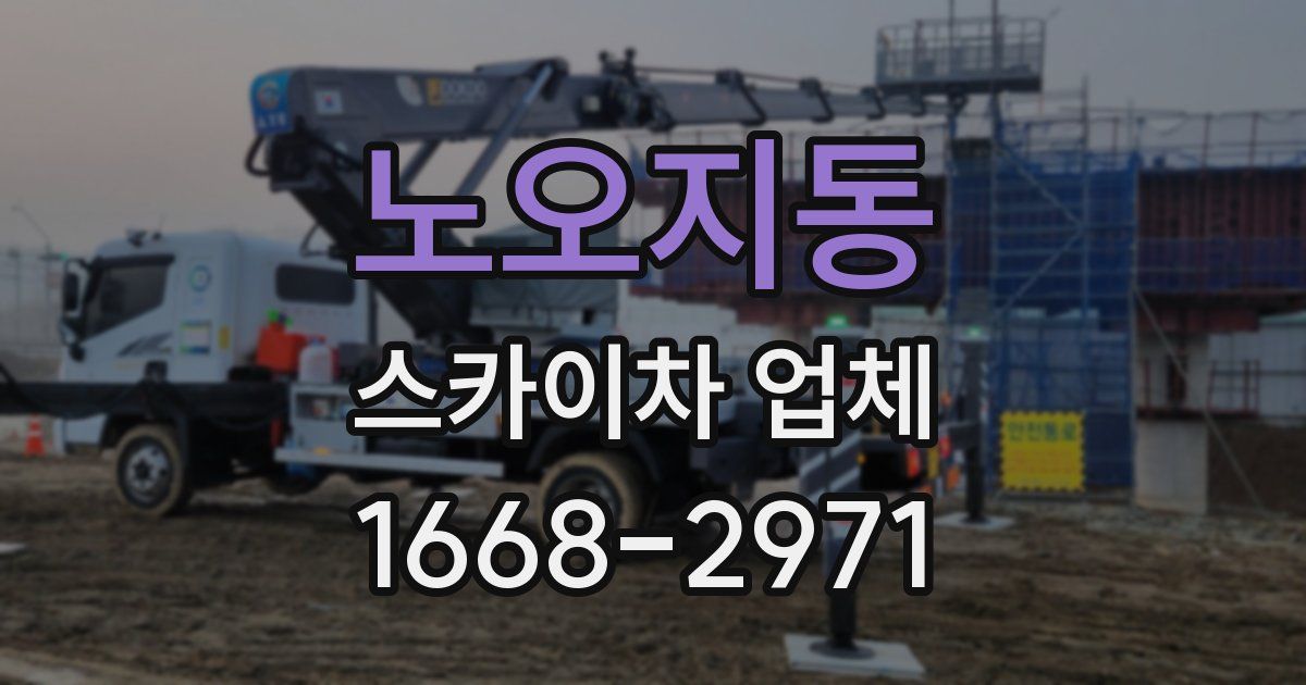 노오지동 스카이차 업체