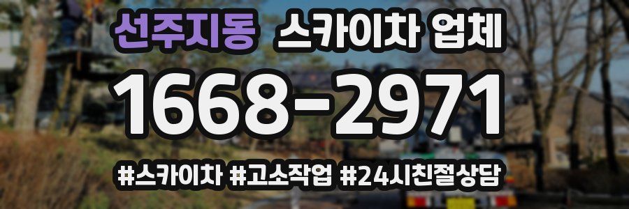 선주지동 스카이차 업체