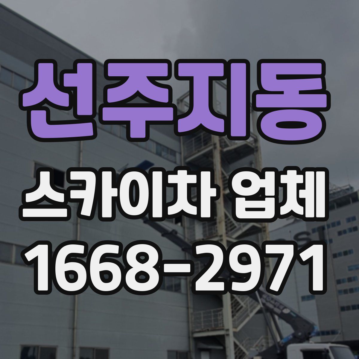 선주지동 스카이차 업체