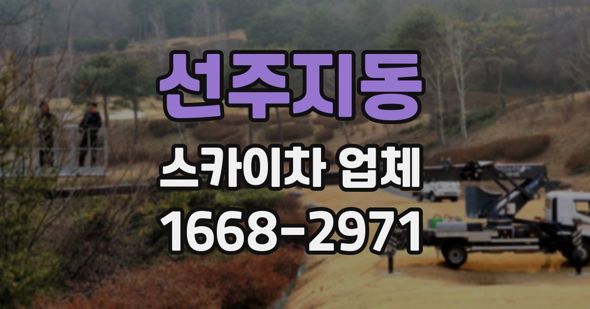 선주지동 스카이차 업체