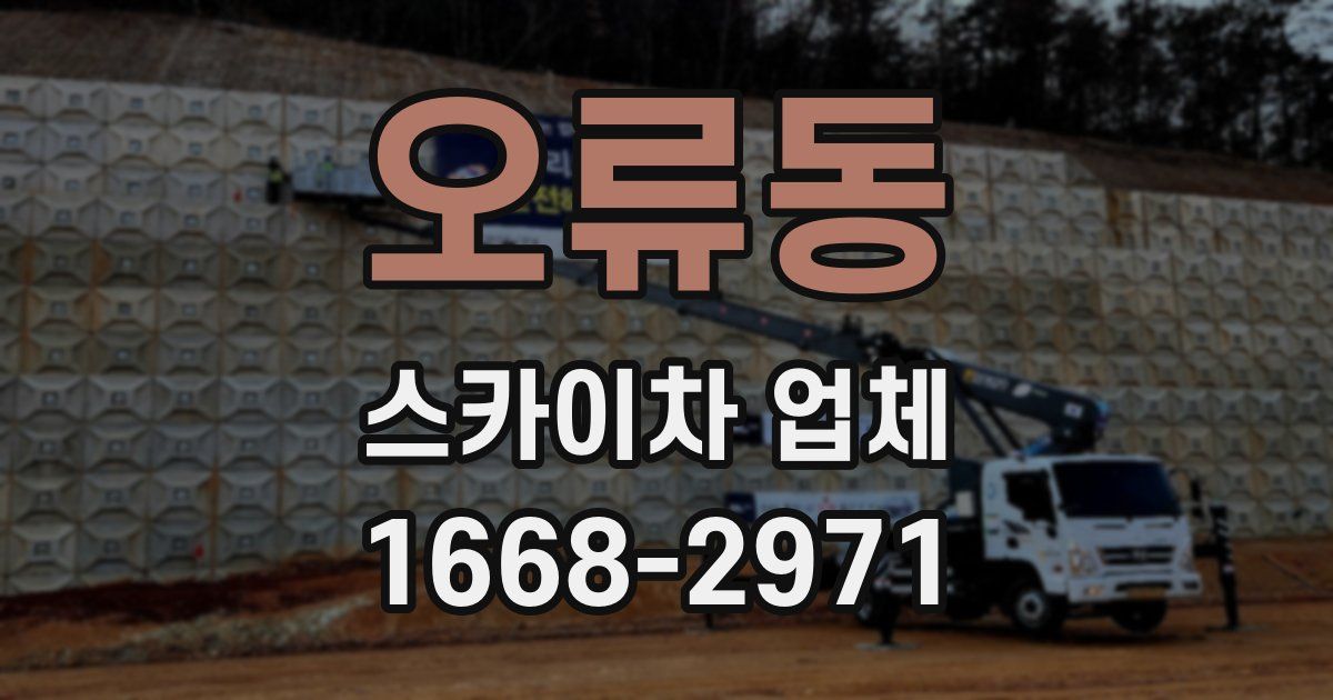 오류동 스카이차 업체