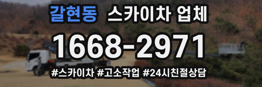 갈현동 스카이차 업체