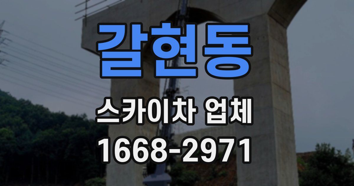 갈현동 스카이차 업체