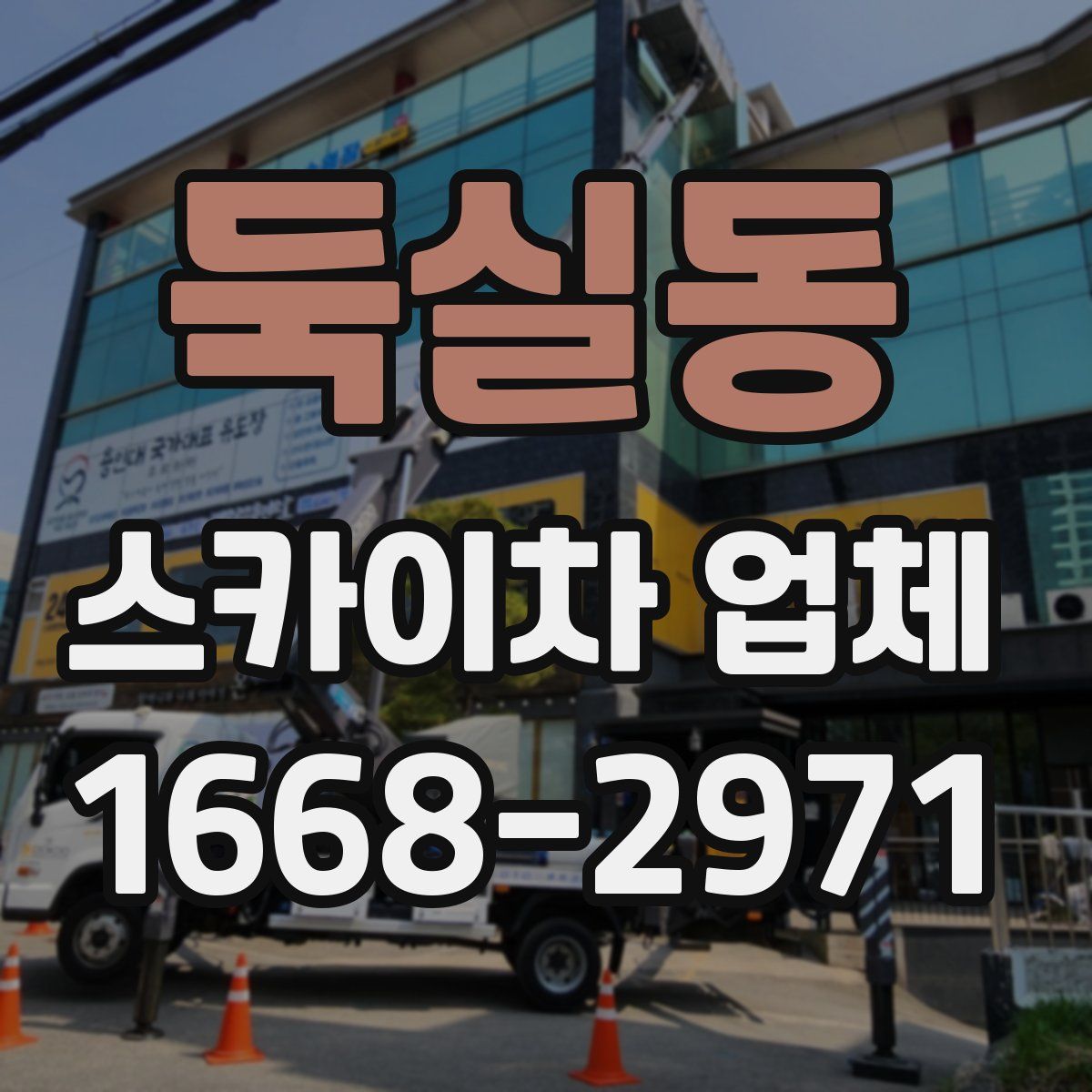 둑실동 스카이차 업체