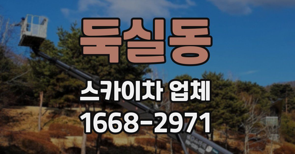 둑실동 스카이차 업체