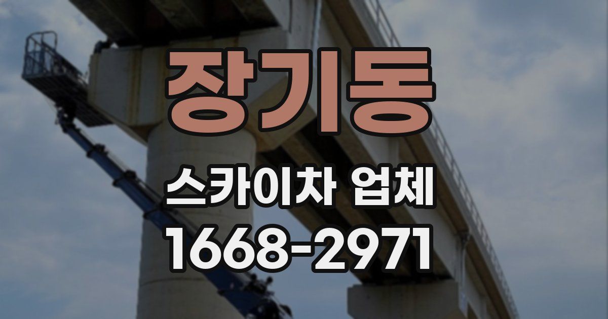 장기동 스카이차 업체