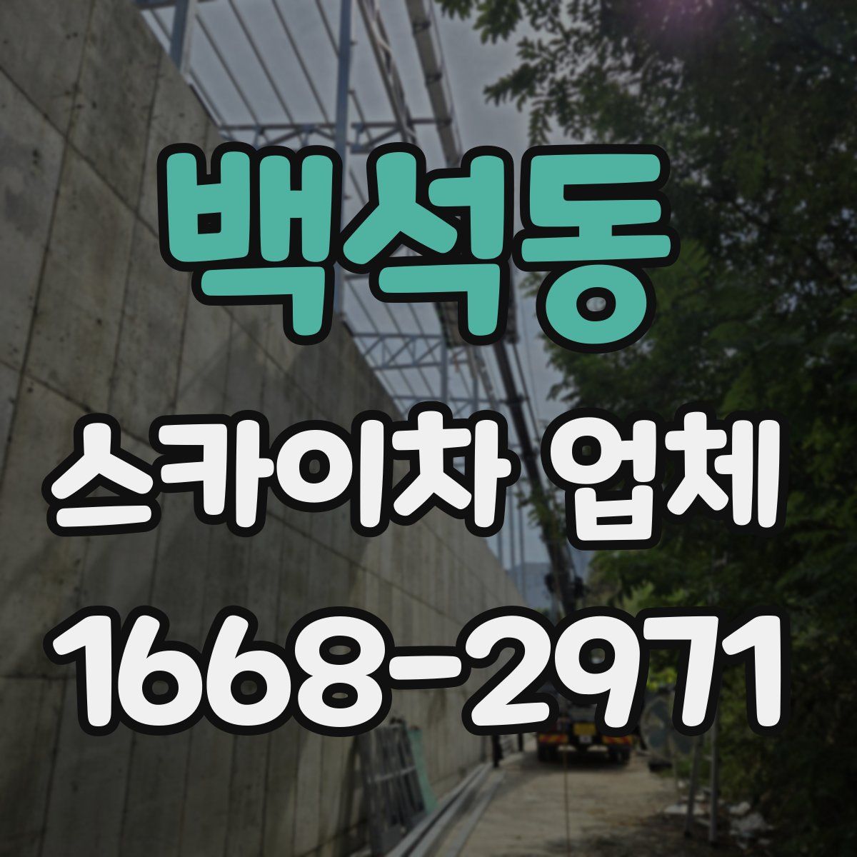 백석동 스카이차 업체